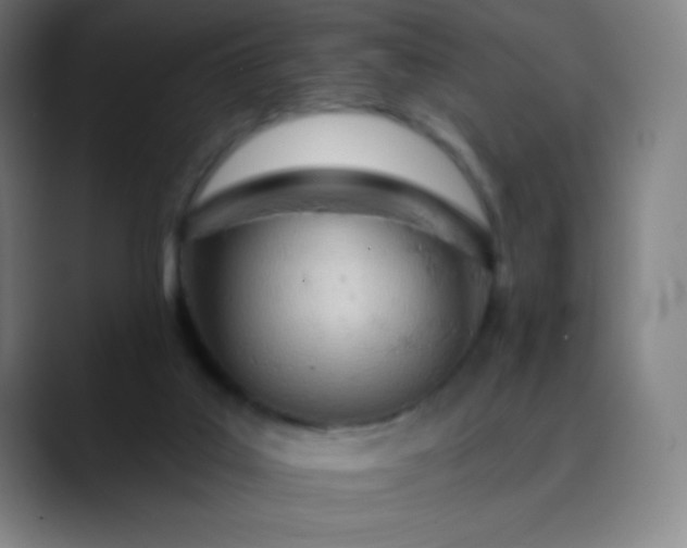 X0000089860019200707121744