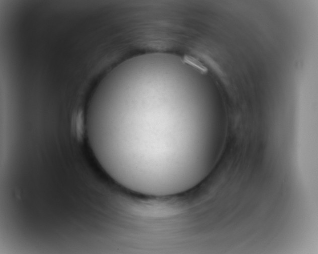 X0000089860020200707121744