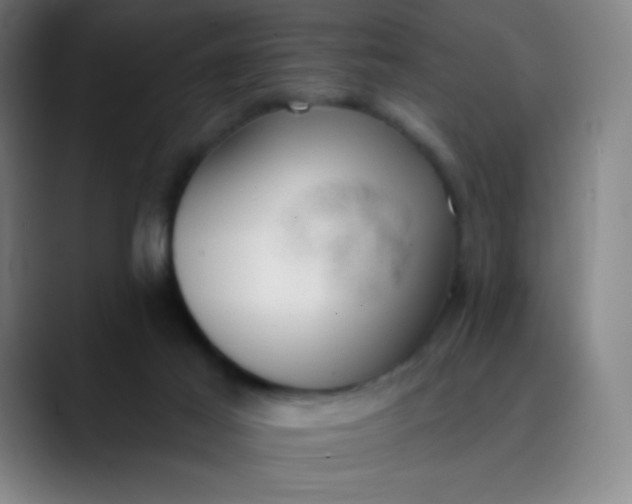 X0000089860021200707121744