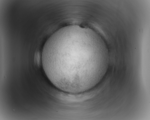 X0000089860022200707121744