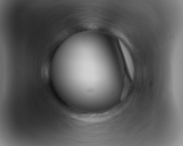 X0000089860023200707121744