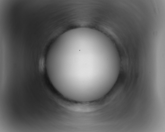 X0000089860024200707121744