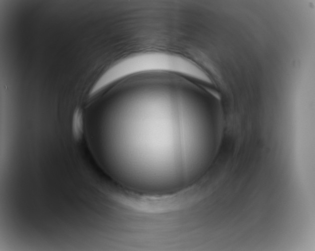 X0000089860027200707121744