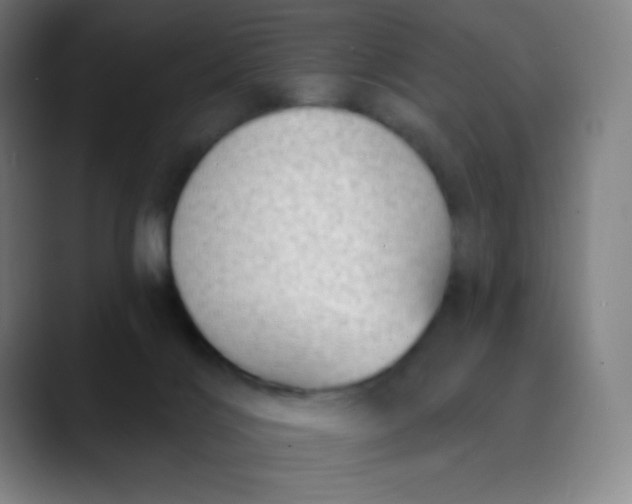 X0000089860028200707121744