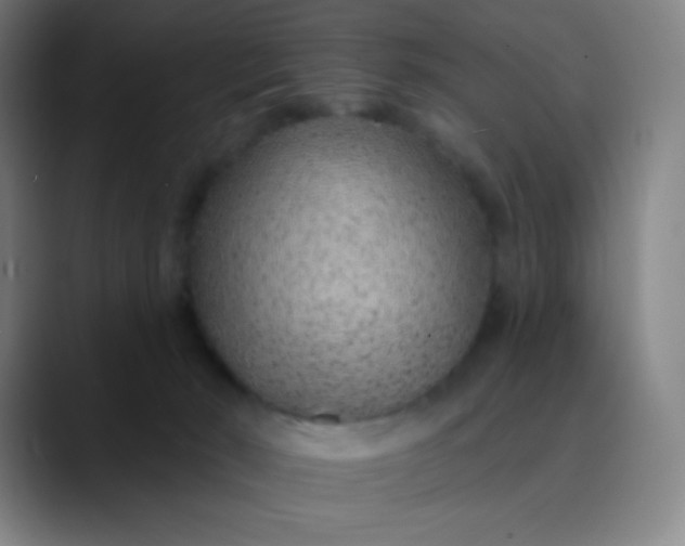 X0000089860030200707121744