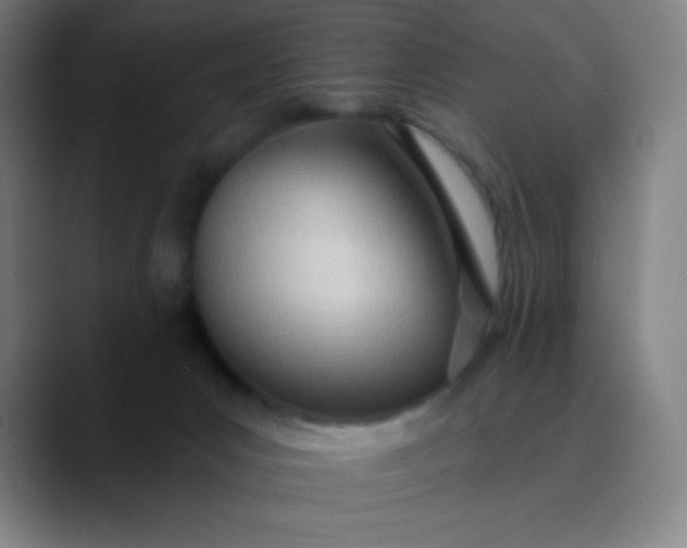 X0000089860031200707121744