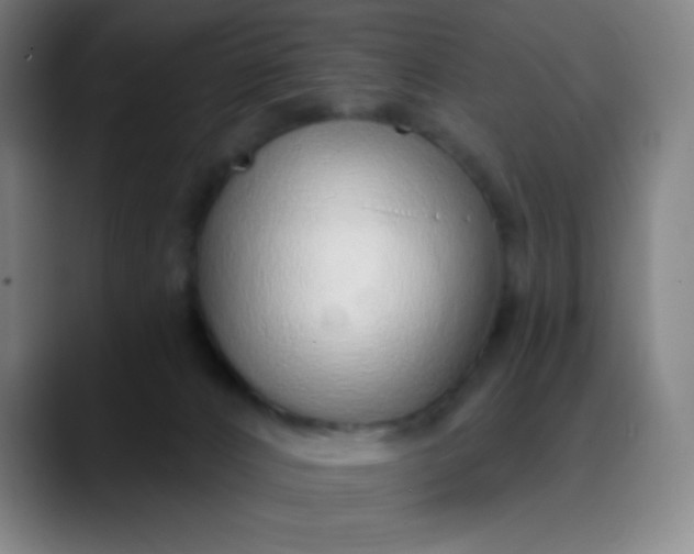 X0000089860032200707121744