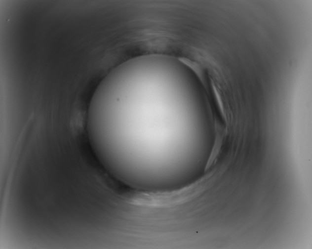 X0000089860033200707121744