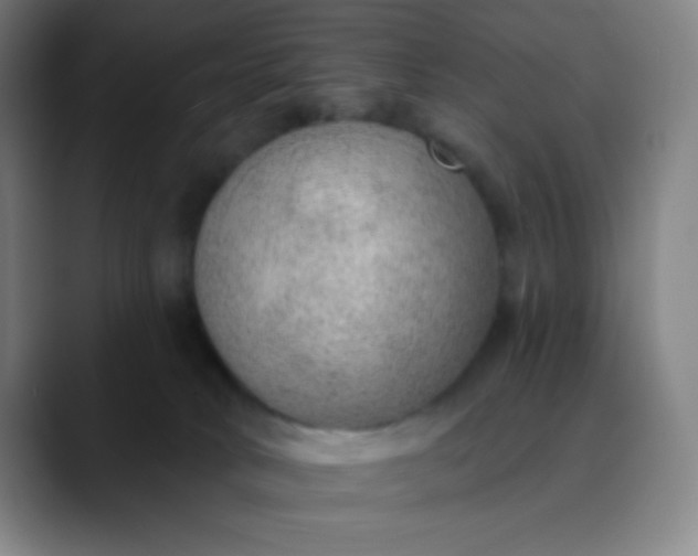 X0000089860034200707121744