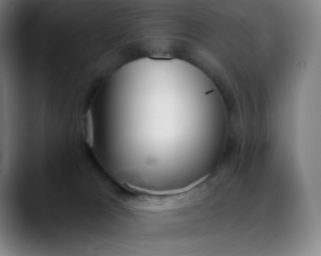 X0000089860037200707121744