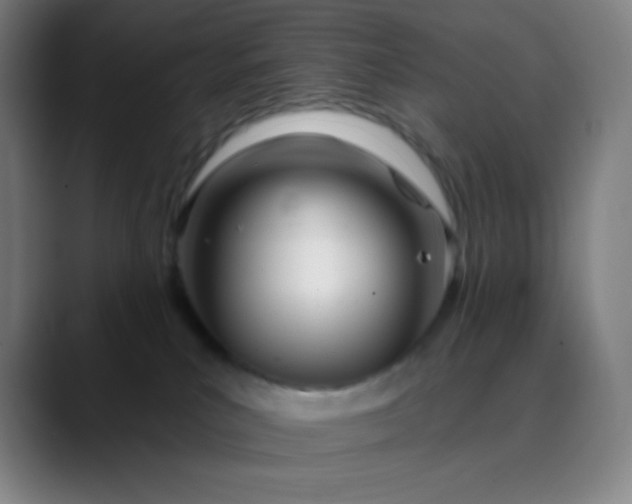 X0000089860039200707121744