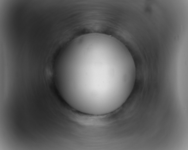 X0000089860040200707121744