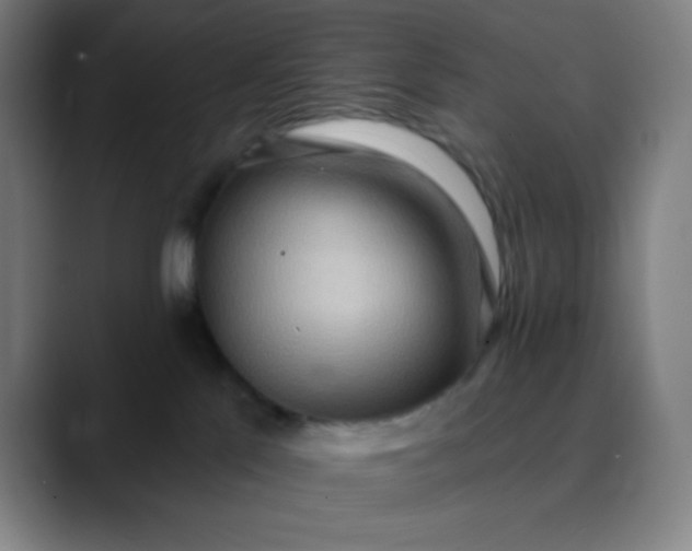 X0000089860041200707121744