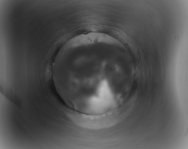 X0000089860043200707121744