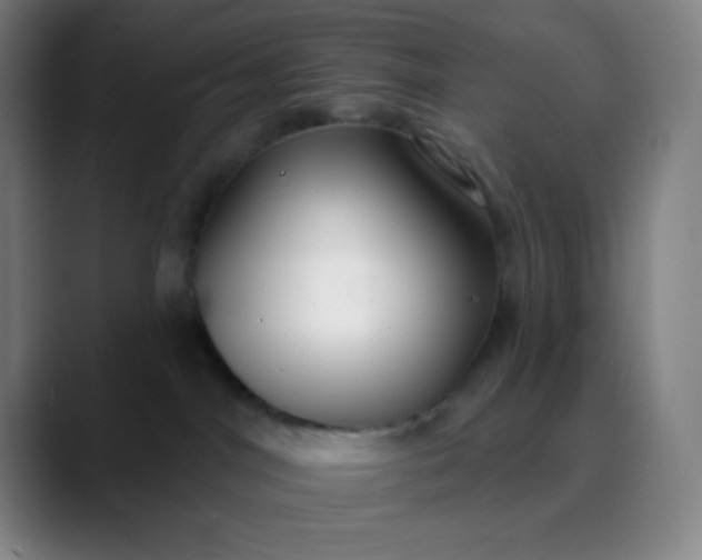 X0000089860044200707121744