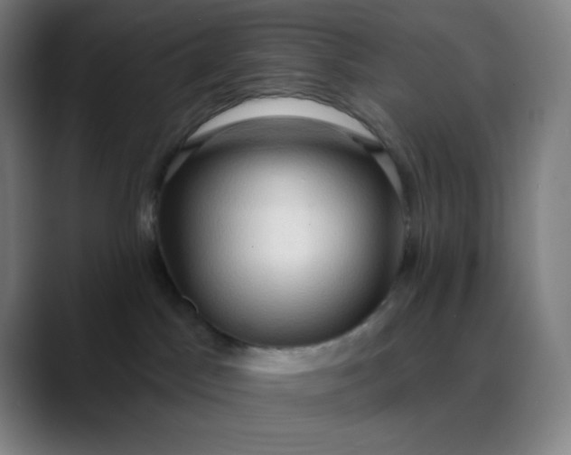 X0000089860045200707121744