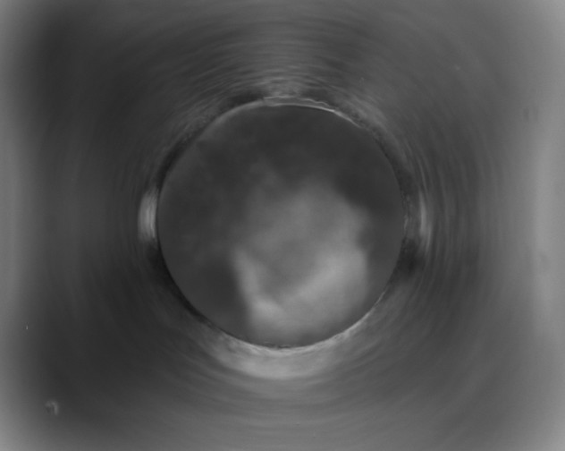 X0000089860047200707121744