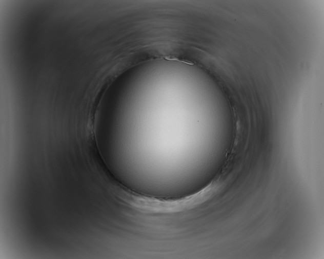 X0000089860048200707121744