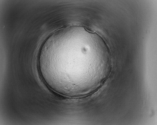 X0000089860049200707121743