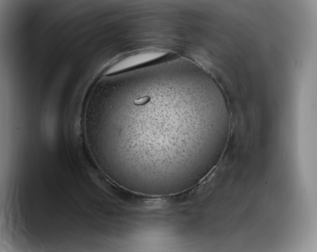 X0000089860050200707121743