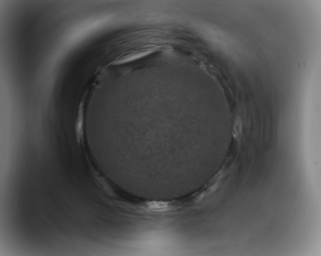 X0000089860052200707121743