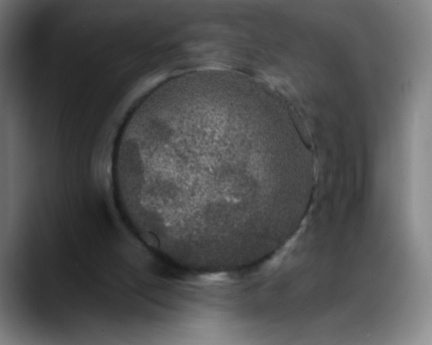 X0000089860054200707121743