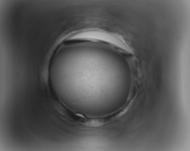 X0000089860056200707121743