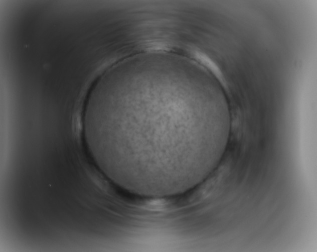 X0000089860059200707121744