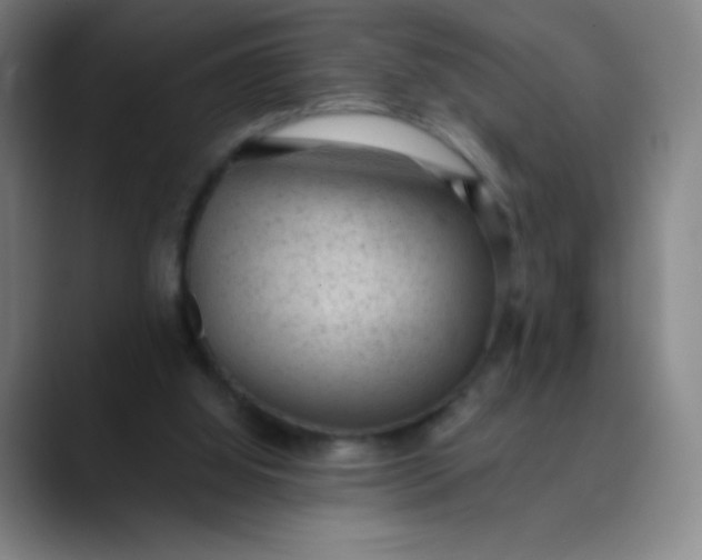 X0000089860060200707121744