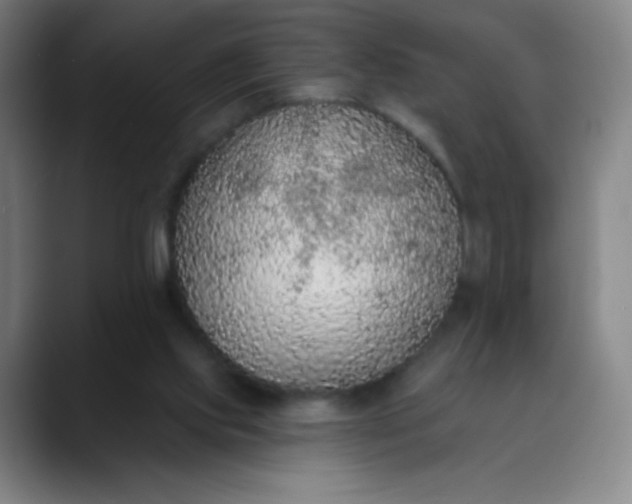 X0000089860061200707121744