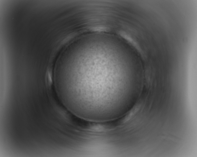 X0000089860062200707121744