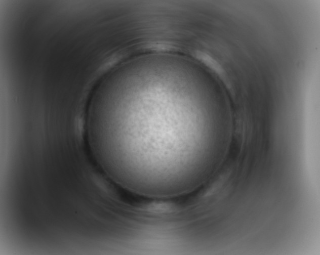 X0000089860063200707121744