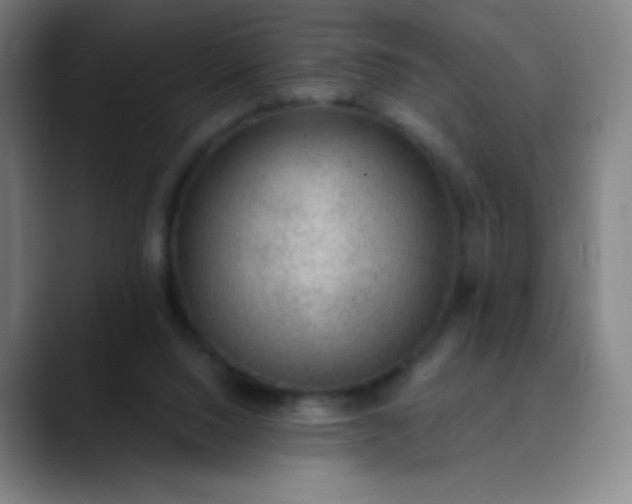 X0000089860064200707121744