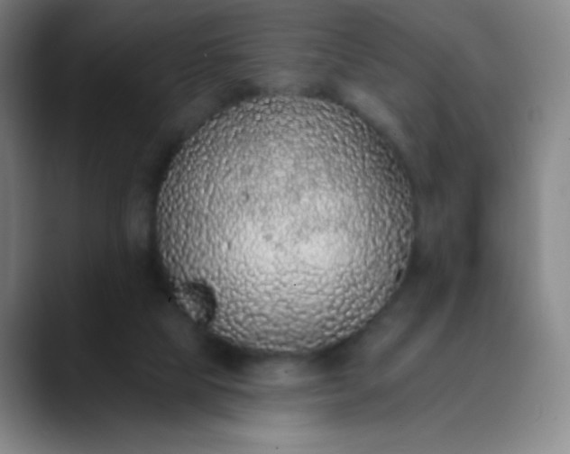 X0000089860065200707121744