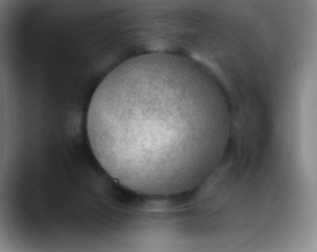 X0000089860066200707121744