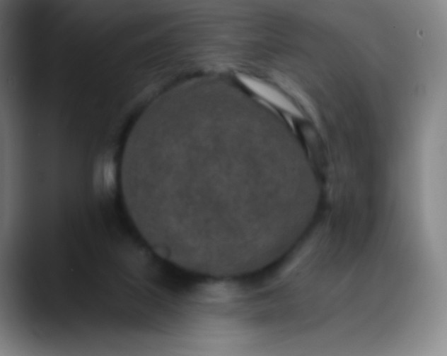 X0000089860067200707121744