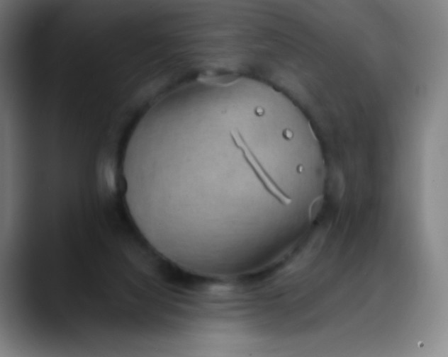 X0000089860068200707121744