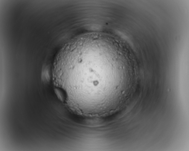 X0000089860069200707121744