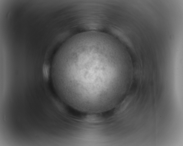 X0000089860070200707121744