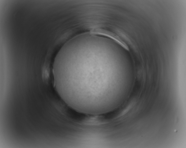 X0000089860072200707121744