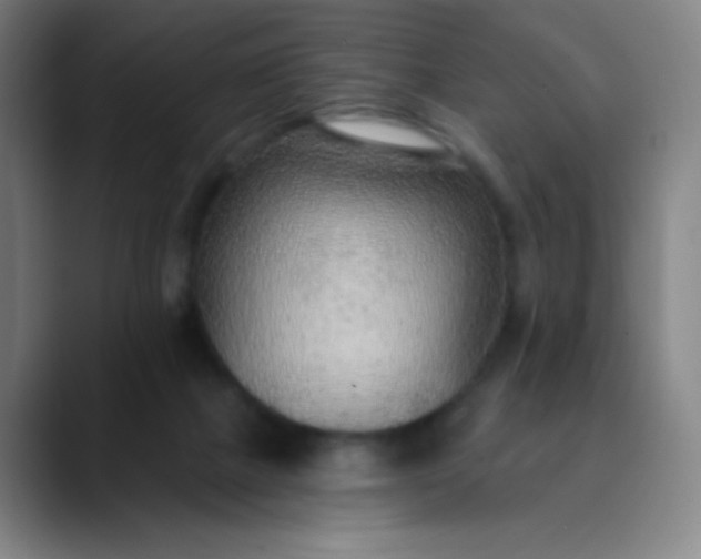 X0000089860073200707121744