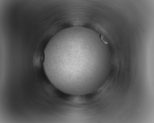 X0000089860074200707121744