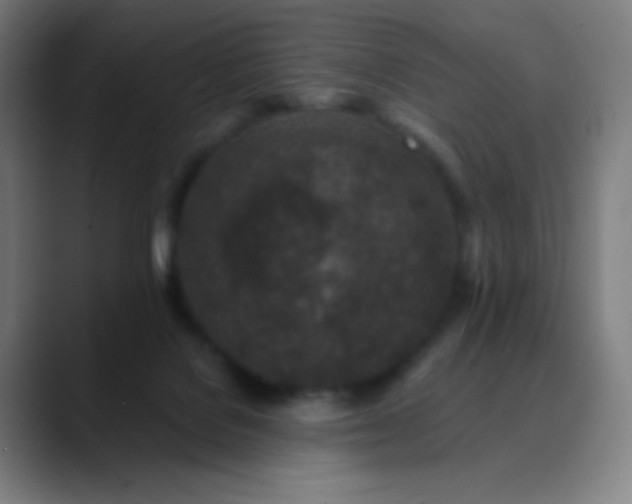 X0000089860076200707121744