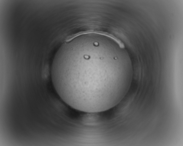 X0000089860077200707121744