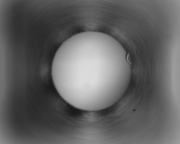 X0000089860079200707121744