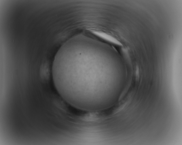 X0000089860080200707121744