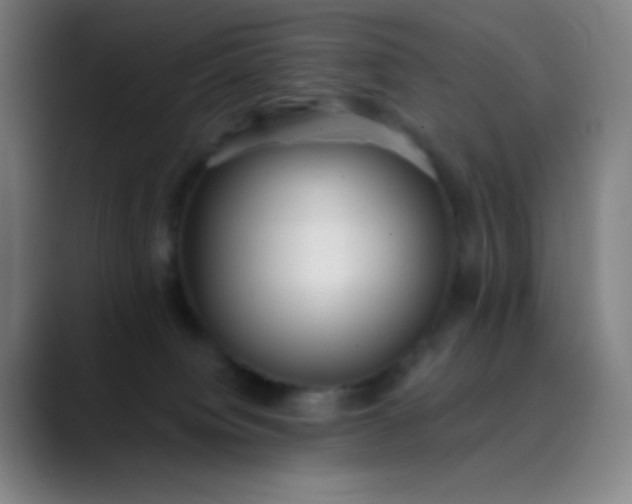 X0000089860084200707121744