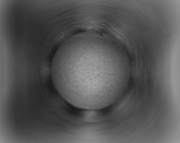 X0000089860085200707121744