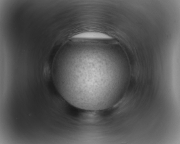 X0000089860086200707121744