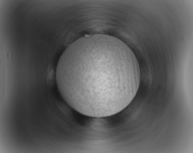 X0000089860087200707121744